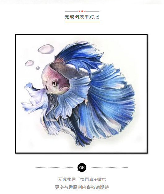 彩色铅笔画之泰国斗鱼的画法