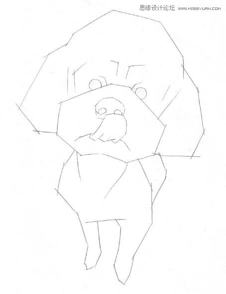 彩色铅笔画之泰迪熊犬的画法