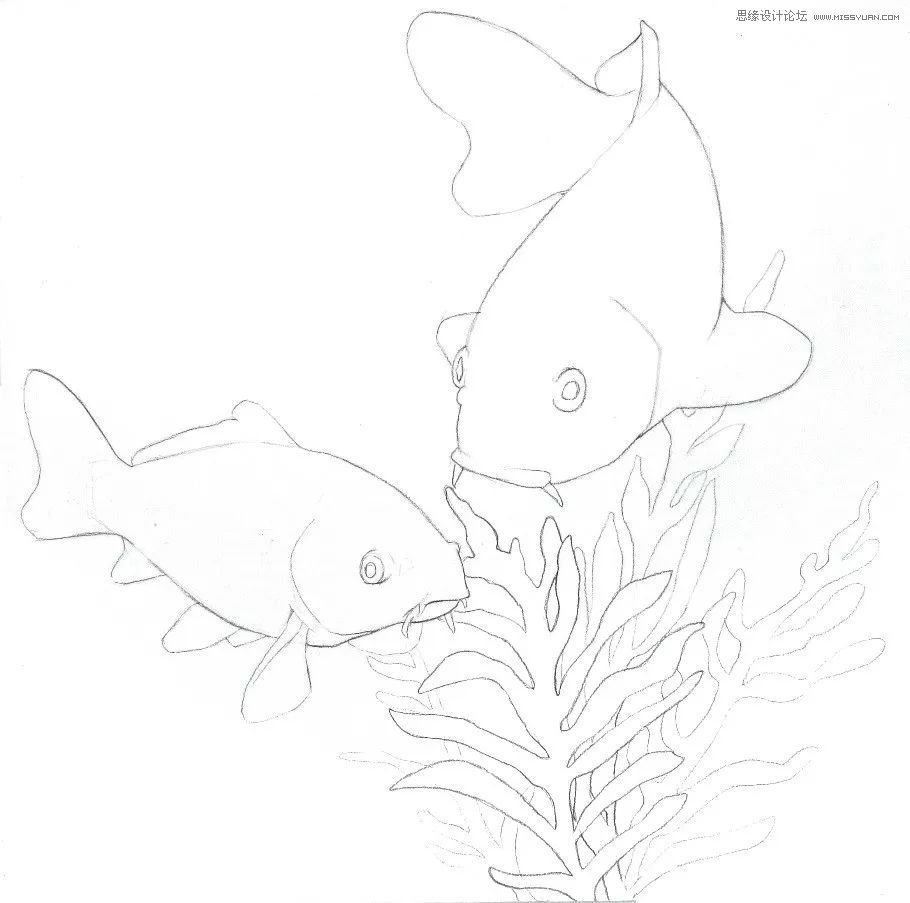 彩色铅笔画之幸运锦鲤的画法