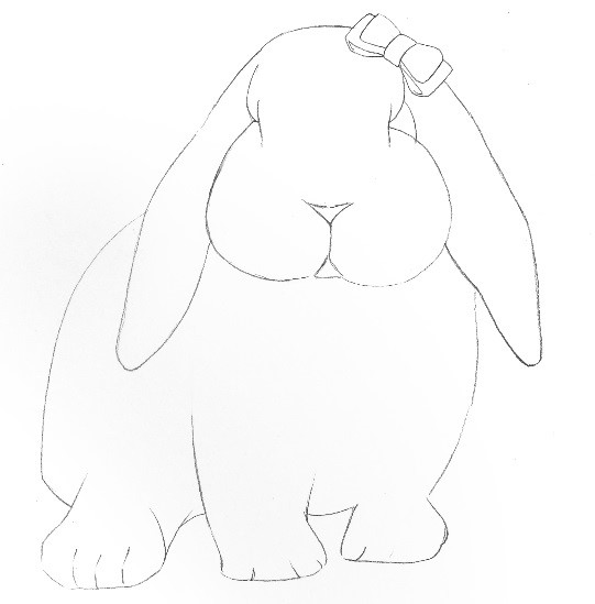 详解彩色铅笔画之垂耳兔的画法