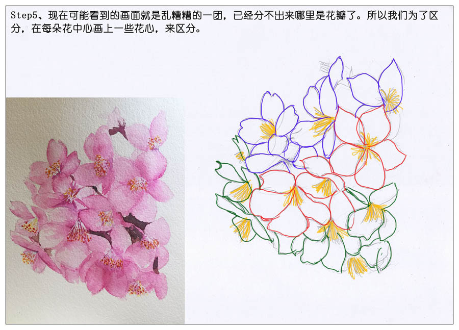 绘制水彩风格的樱花作品