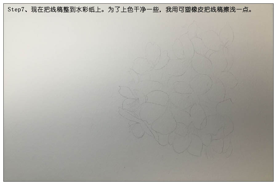 绘制水彩风格的樱花作品