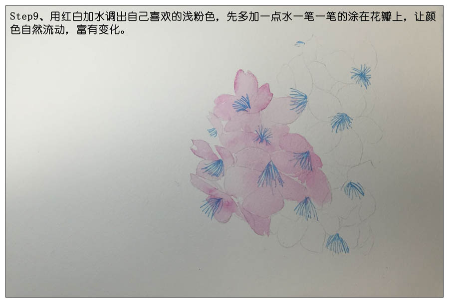 绘制水彩风格的樱花作品
