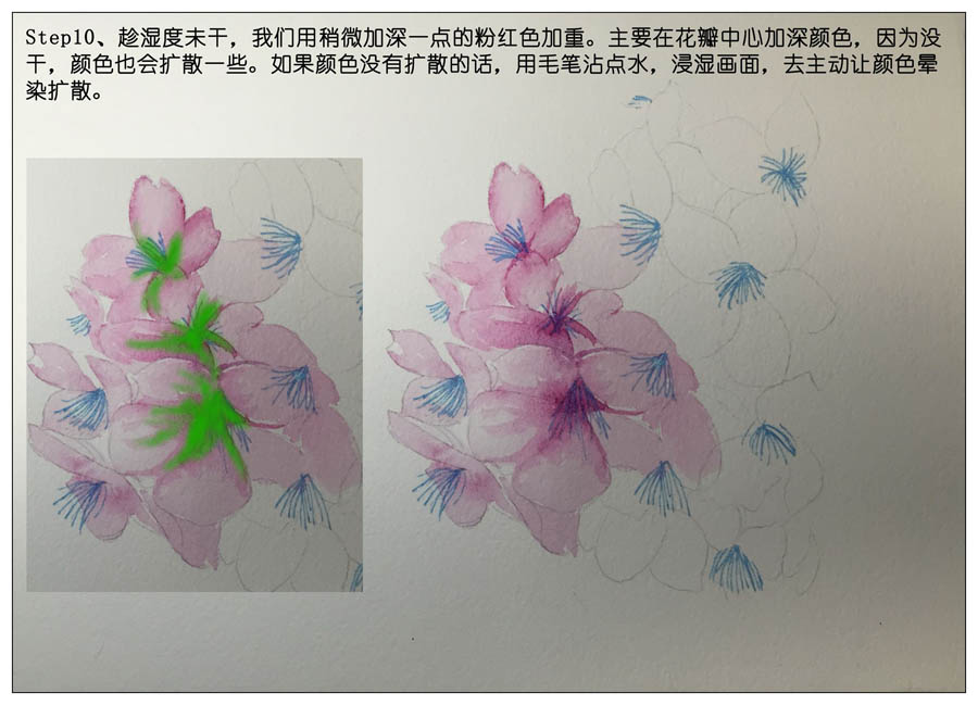 绘制水彩风格的樱花作品