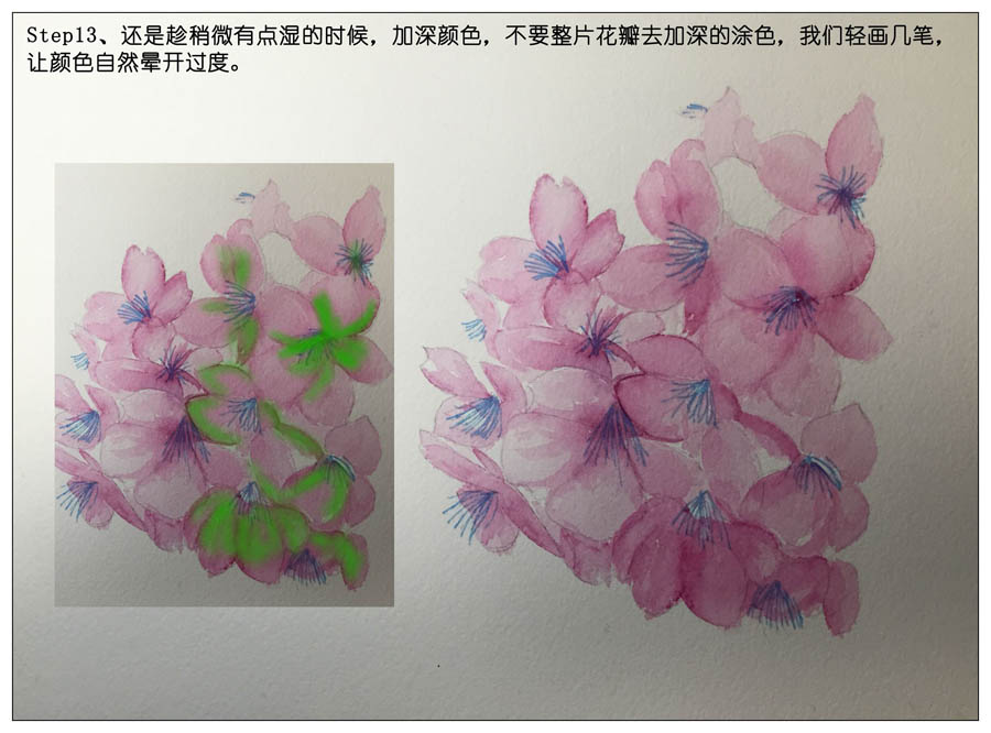 绘制水彩风格的樱花作品