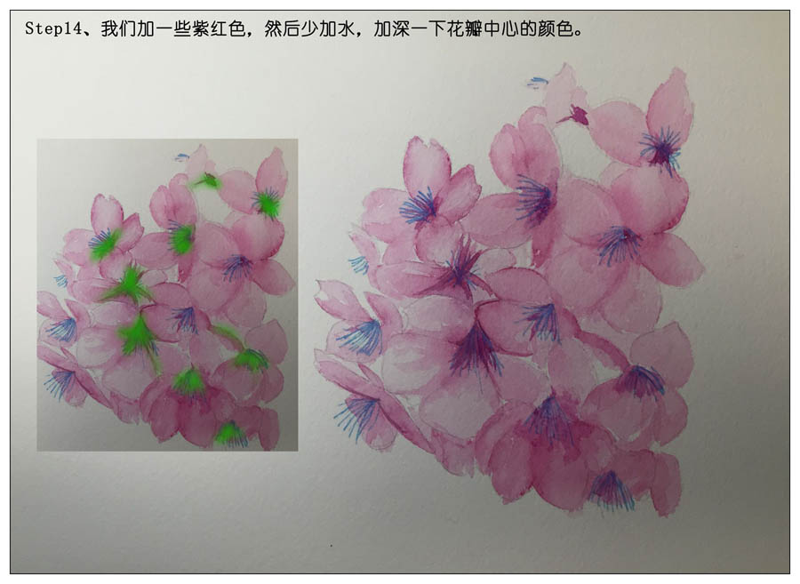 绘制水彩风格的樱花作品