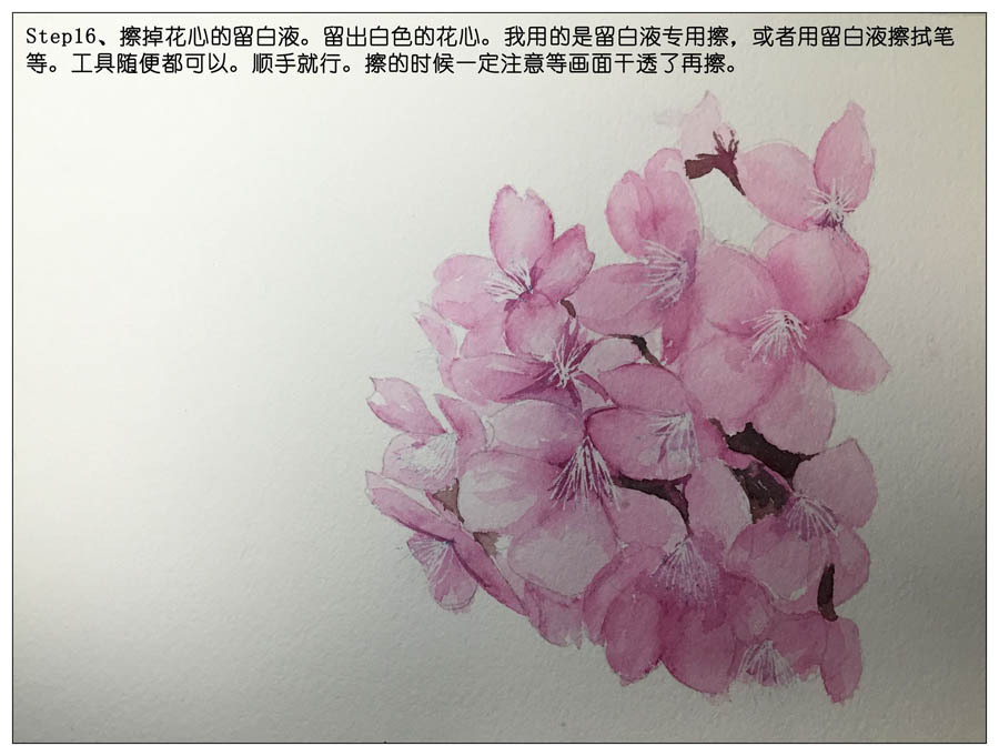 绘制水彩风格的樱花作品
