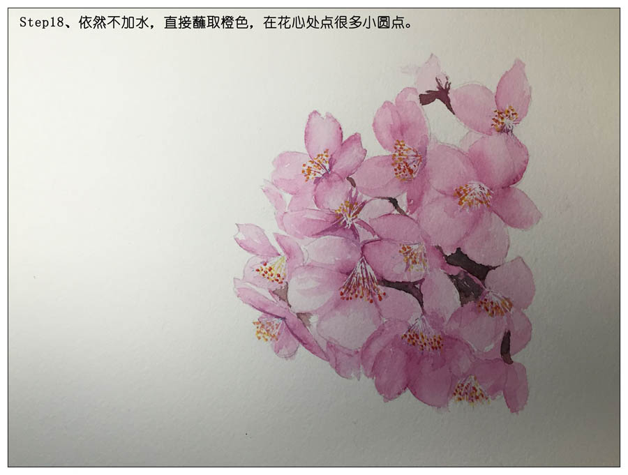 绘制水彩风格的樱花作品