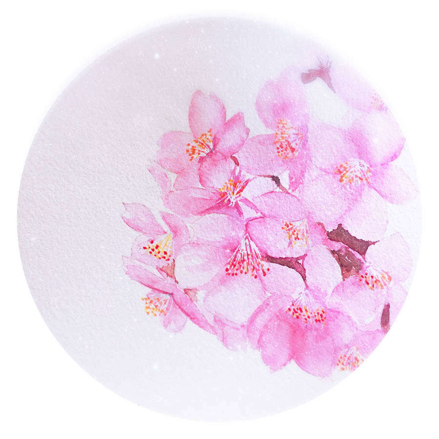 绘制水彩风格的樱花作品