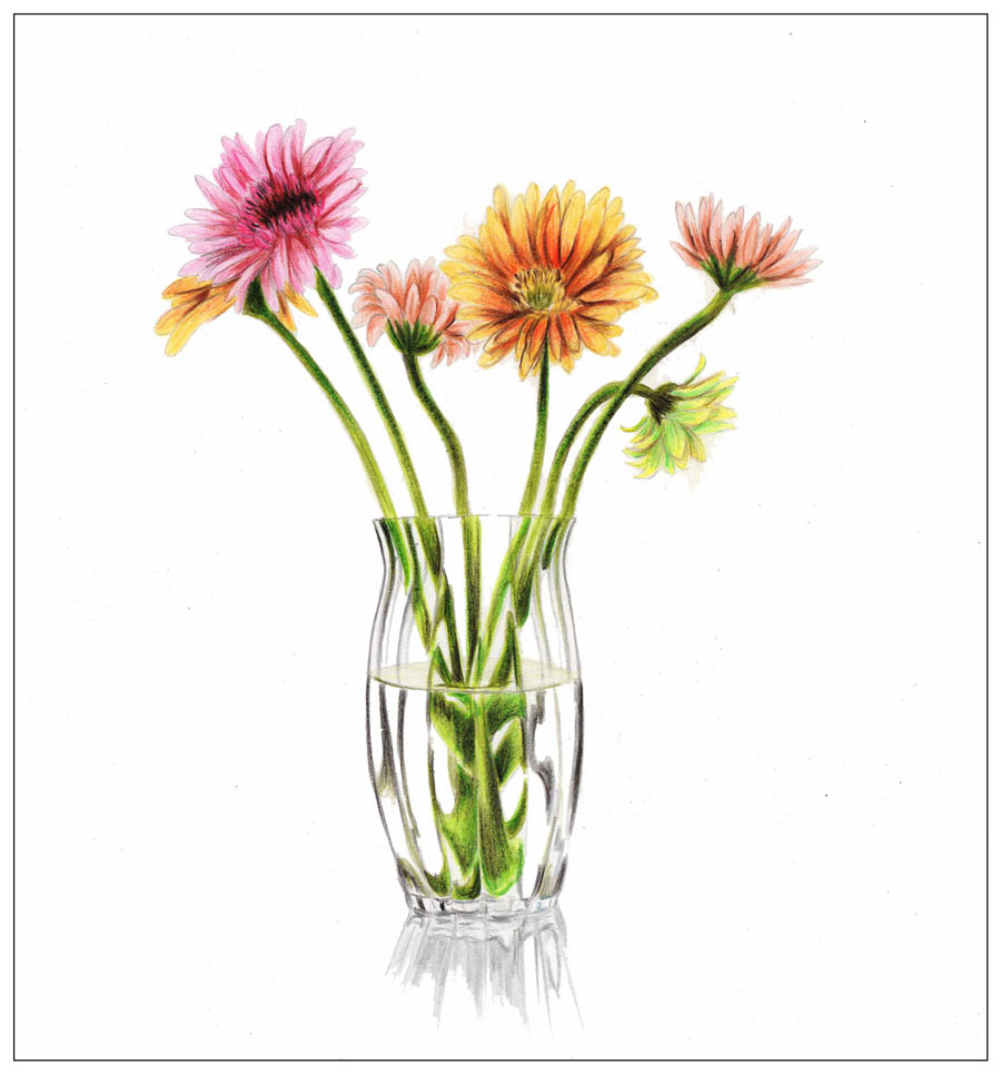 手绘玻璃瓶和唯美插画作品