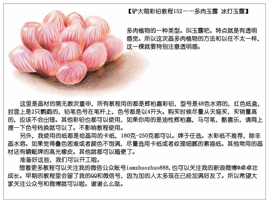 手绘多肉玉露彩铅绘画教程