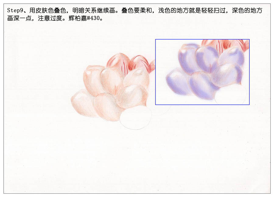 手绘多肉玉露彩铅绘画教程