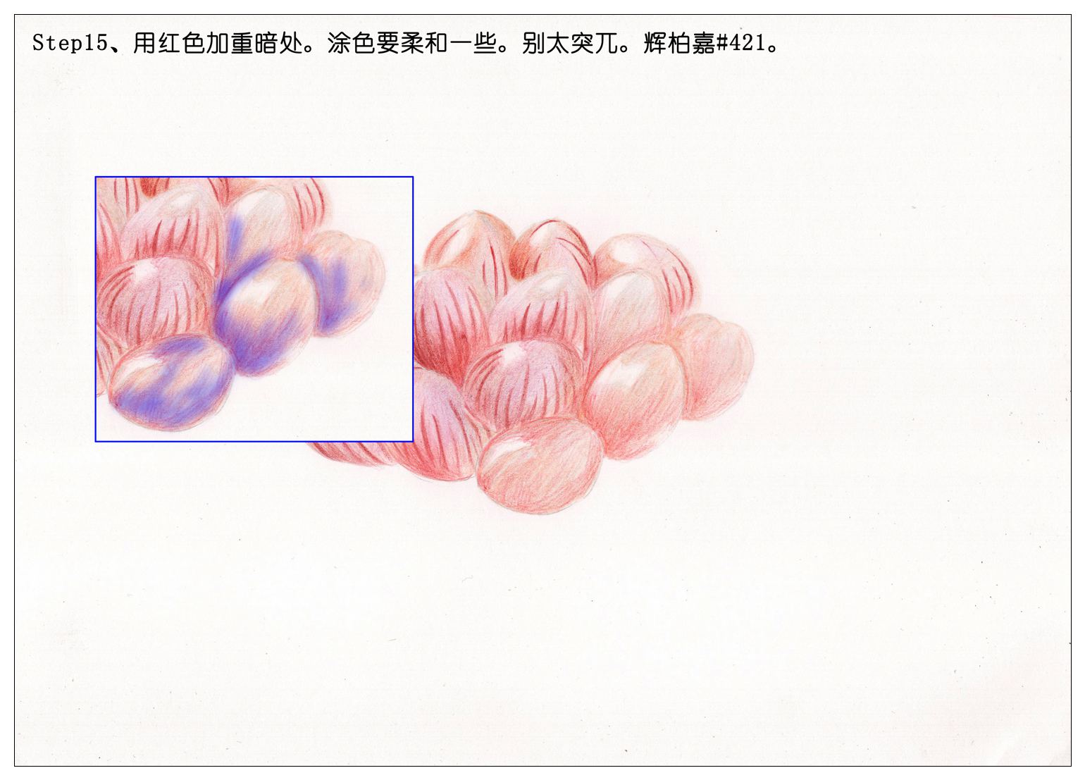 手绘多肉玉露彩铅绘画教程