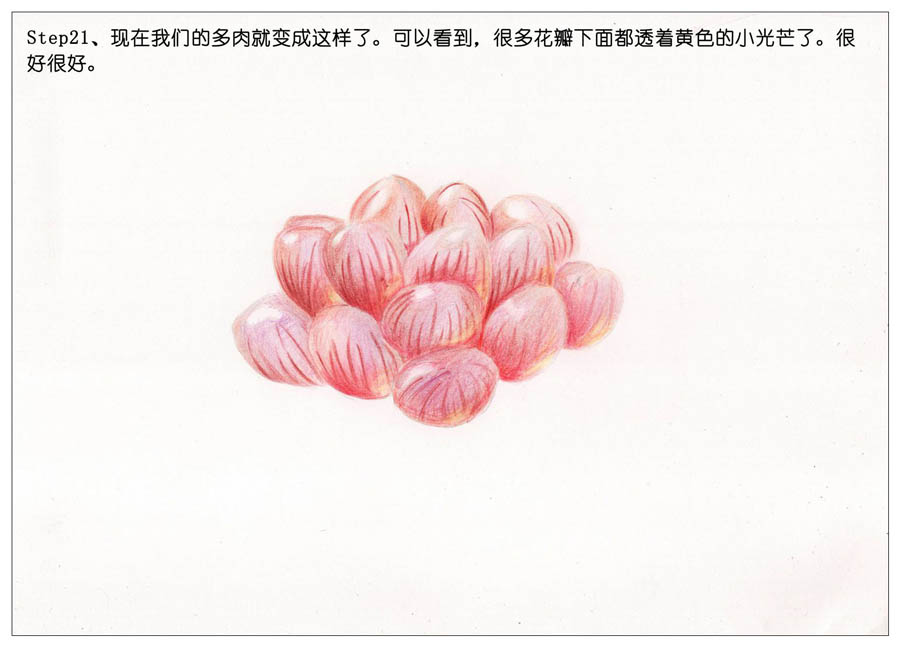 手绘多肉玉露彩铅绘画教程