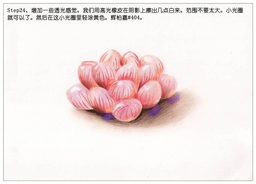 手绘多肉玉露彩铅绘画教程