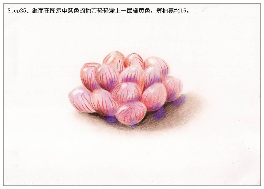 手绘多肉玉露彩铅绘画教程
