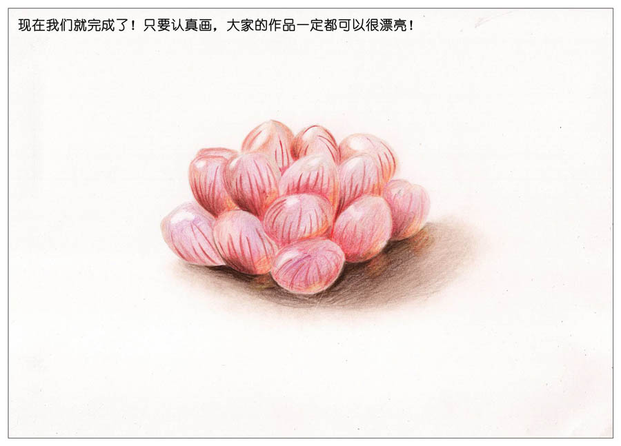 手绘多肉玉露彩铅绘画教程