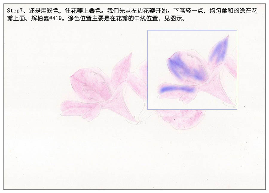 绘制唯美的杜鹃花彩铅教程