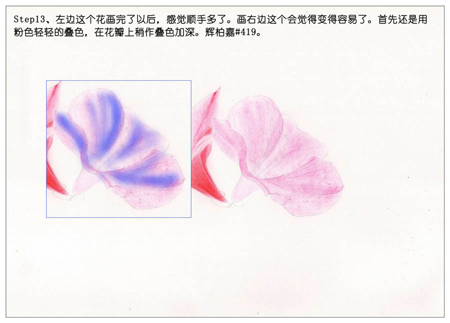 绘制唯美的杜鹃花彩铅教程