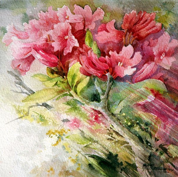 精选Marie Claire Moudru花卉绘画设计作品欣赏