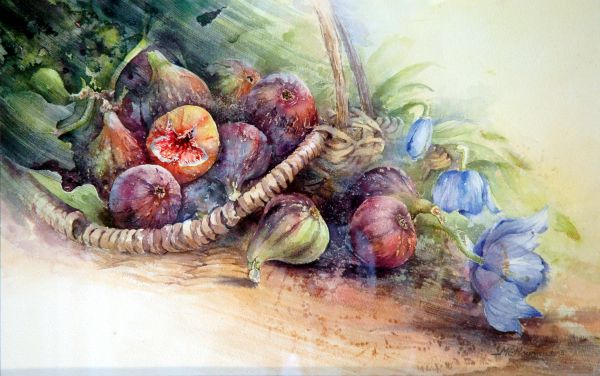 Marie Claire Moudru花卉绘画设计欣赏