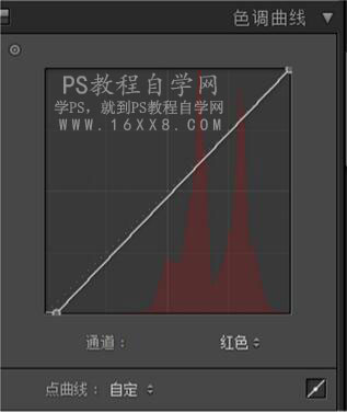 LR调出小清新风格的西红柿照片