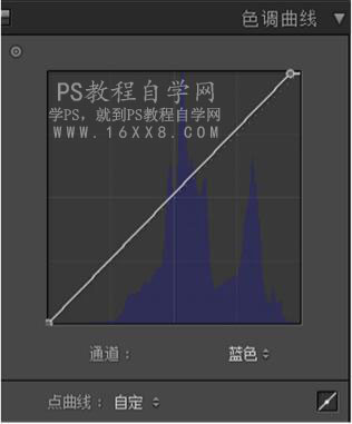 LR调出小清新风格的西红柿照片