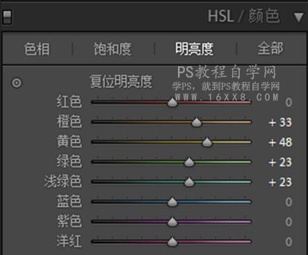 LR调出小清新风格的西红柿照片