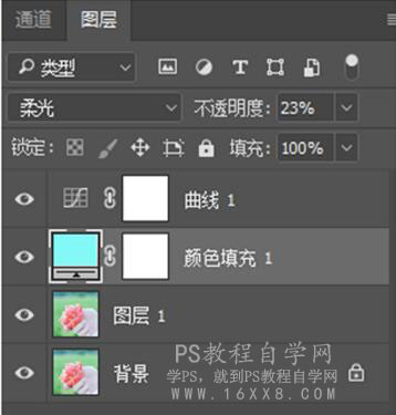 LR调出小清新风格的西红柿照片