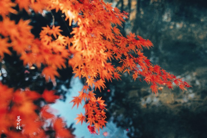 LR调出秋季人像照片古典艺术效果