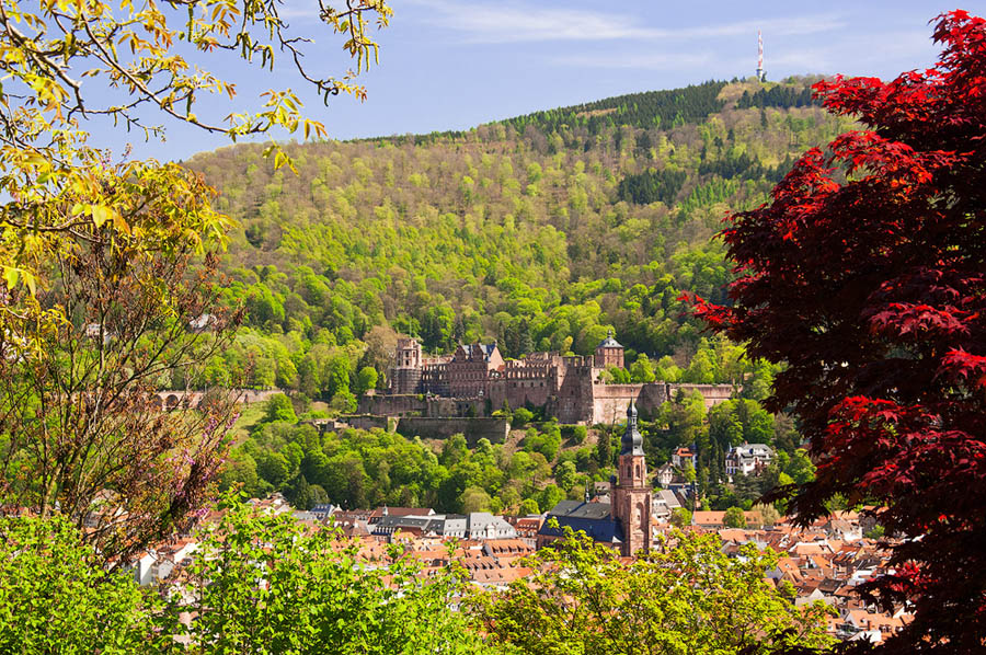 浅谈主色调和辅助色在摄影后期中的应用