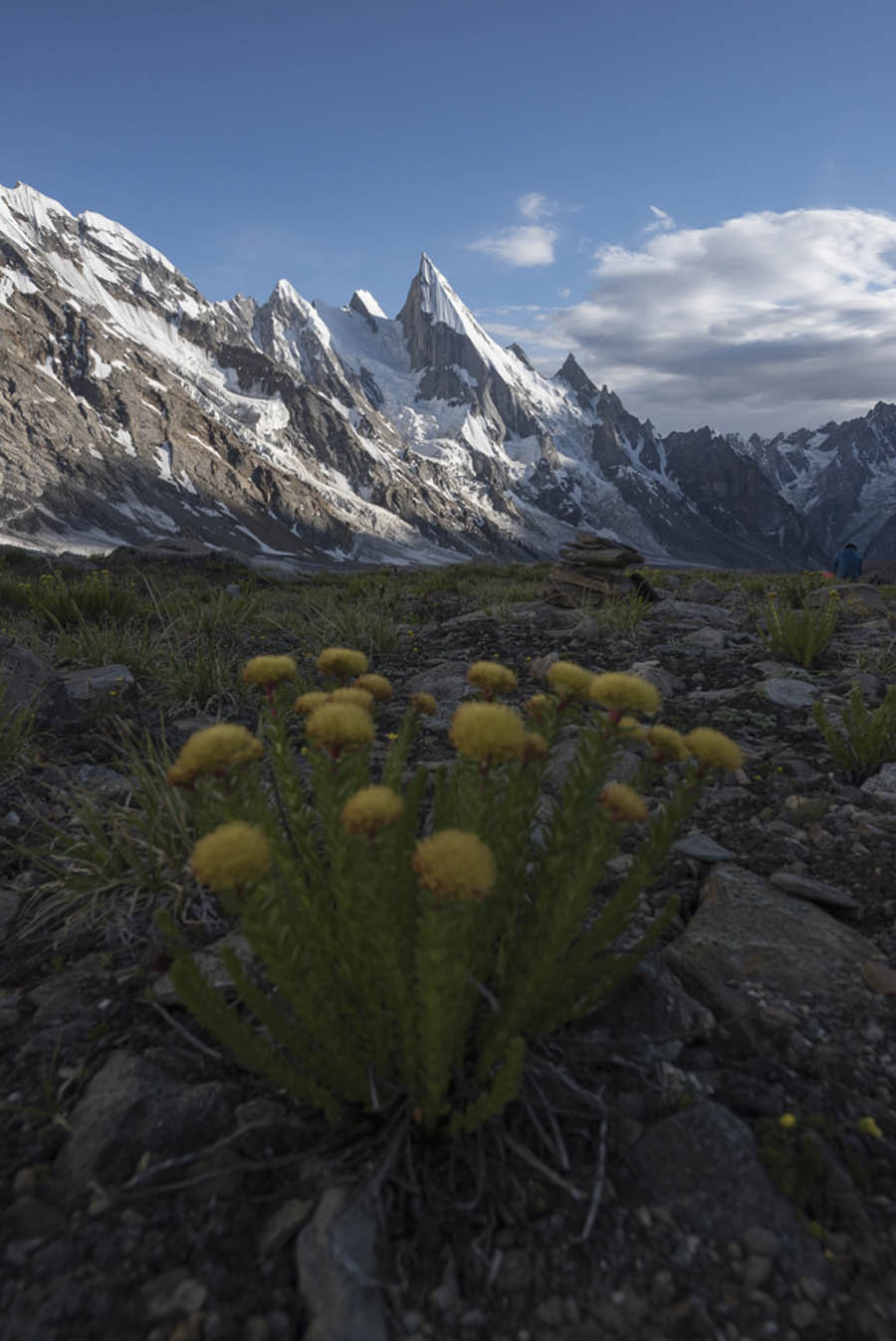 浅谈主色调和辅助色在摄影后期中的应用