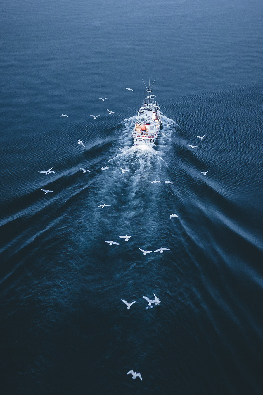 浅谈主色调和辅助色在摄影后期中的应用
