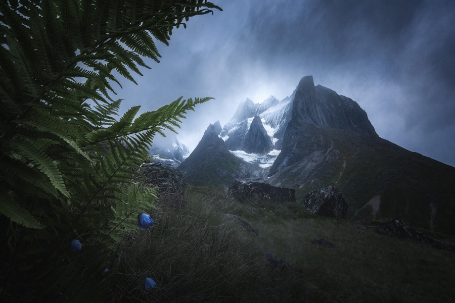 浅谈主色调和辅助色在摄影后期中的应用