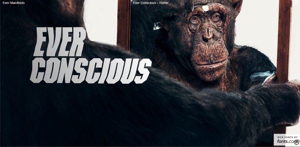 精选国外杂志风格网页设计欣赏