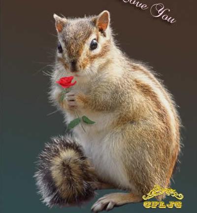 Photoshop抽出滤镜扣出可爱的小松鼠抠图教程