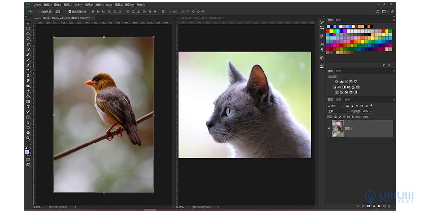 Photoshop创意的合成猫咪头像的猫头鹰