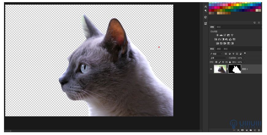 Photoshop创意的合成猫咪头像的猫头鹰
