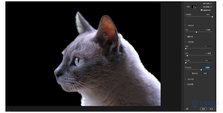 Photoshop创意的合成猫咪头像的猫头鹰