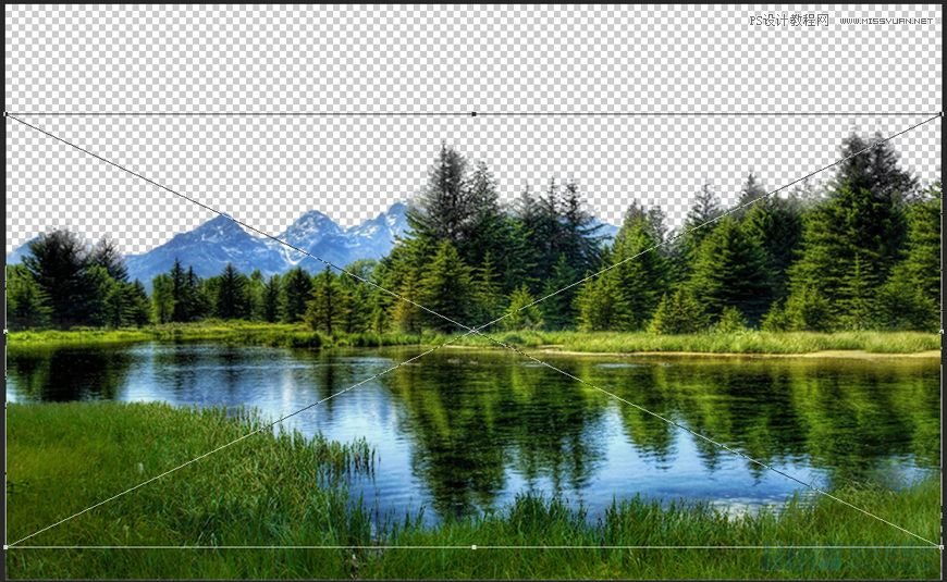 Photoshop合成森林中马灯下的小动物
