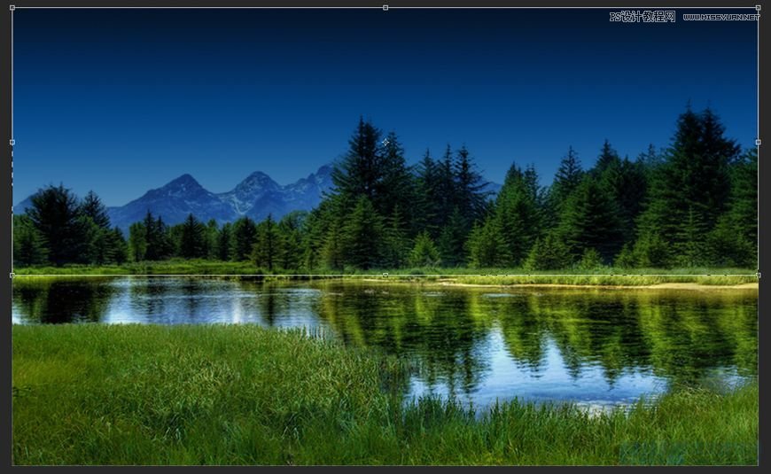 Photoshop合成森林中马灯下的小动物