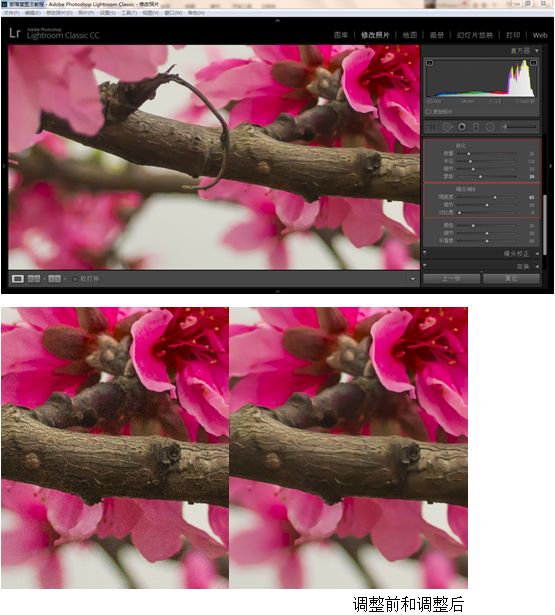 Photoshop结合LR调出更有意境的桃花