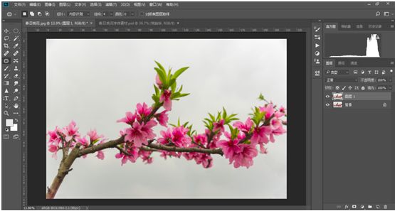 Photoshop结合LR调出更有意境的桃花