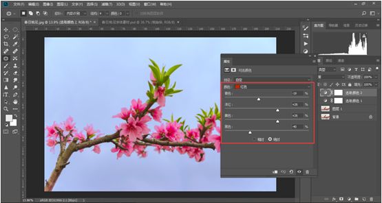 Photoshop结合LR调出更有意境的桃花