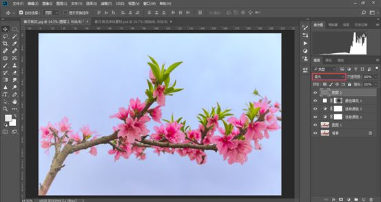 Photoshop结合LR调出更有意境的桃花