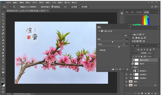 Photoshop结合LR调出更有意境的桃花