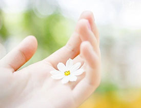 用LR调出甜美清新效果的外景照片调色教程