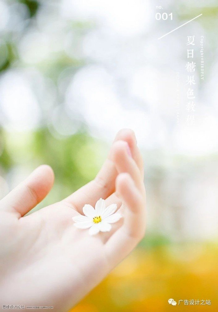 通透效果:用LR调出外景甜美清新效果