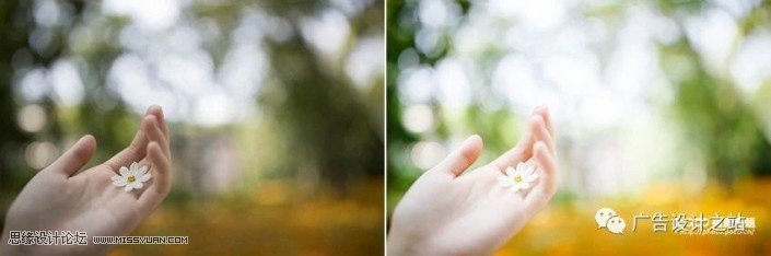 通透效果:用LR调出外景甜美清新效果