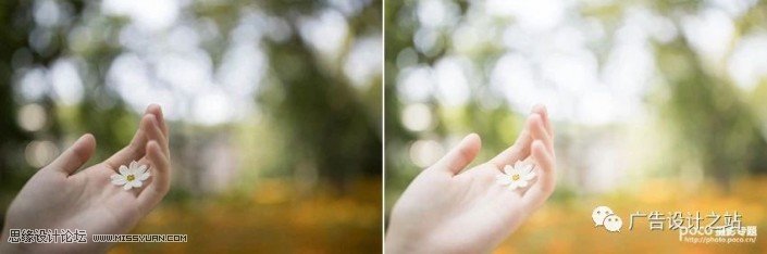 通透效果:用LR调出外景甜美清新效果